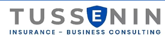 Tussenin — Insurance · Business Consulting